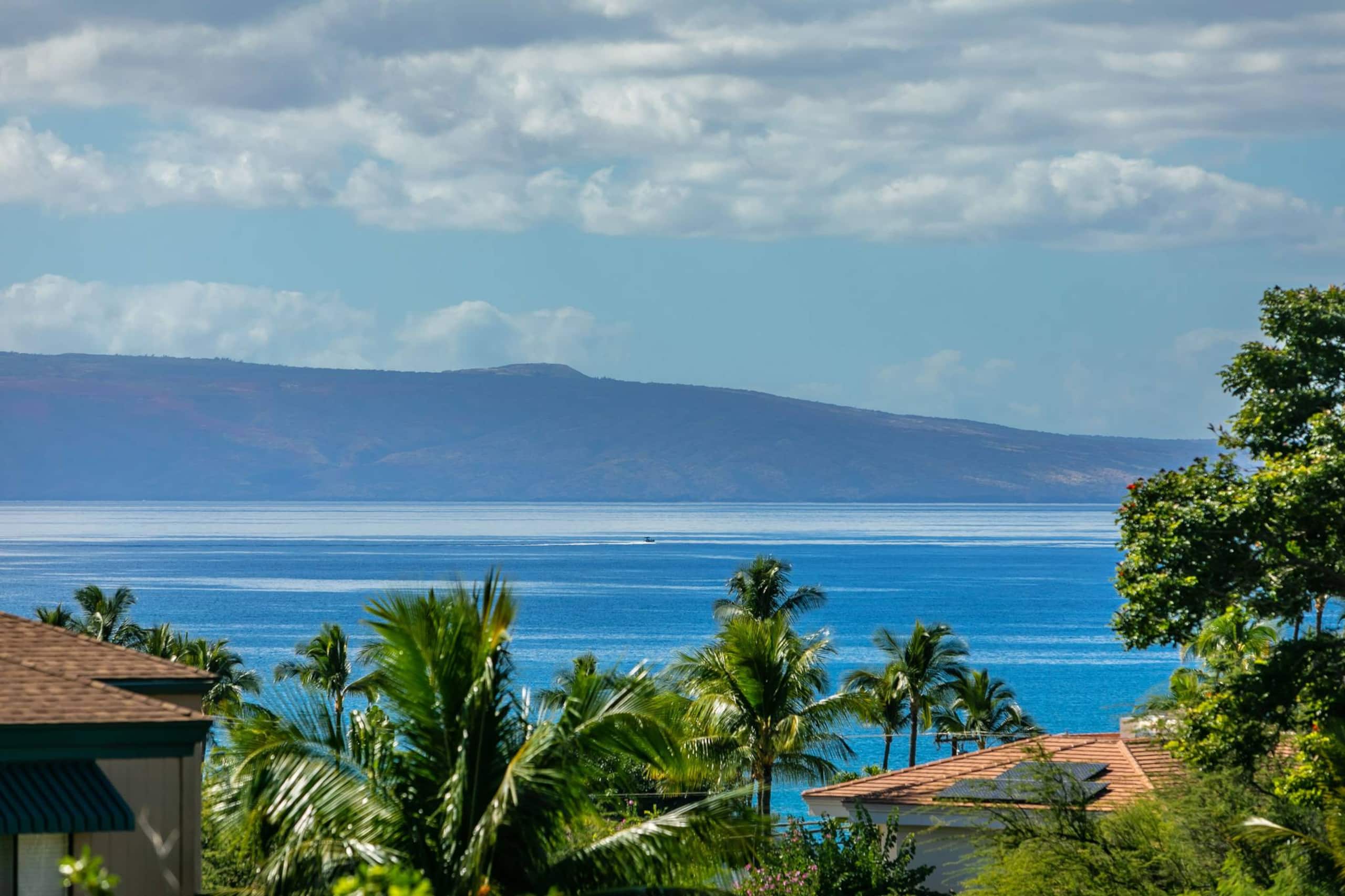 Condo in Kihei · ★5.0 · 2 bedrooms · 4 beds · 2 private baths - Image 39