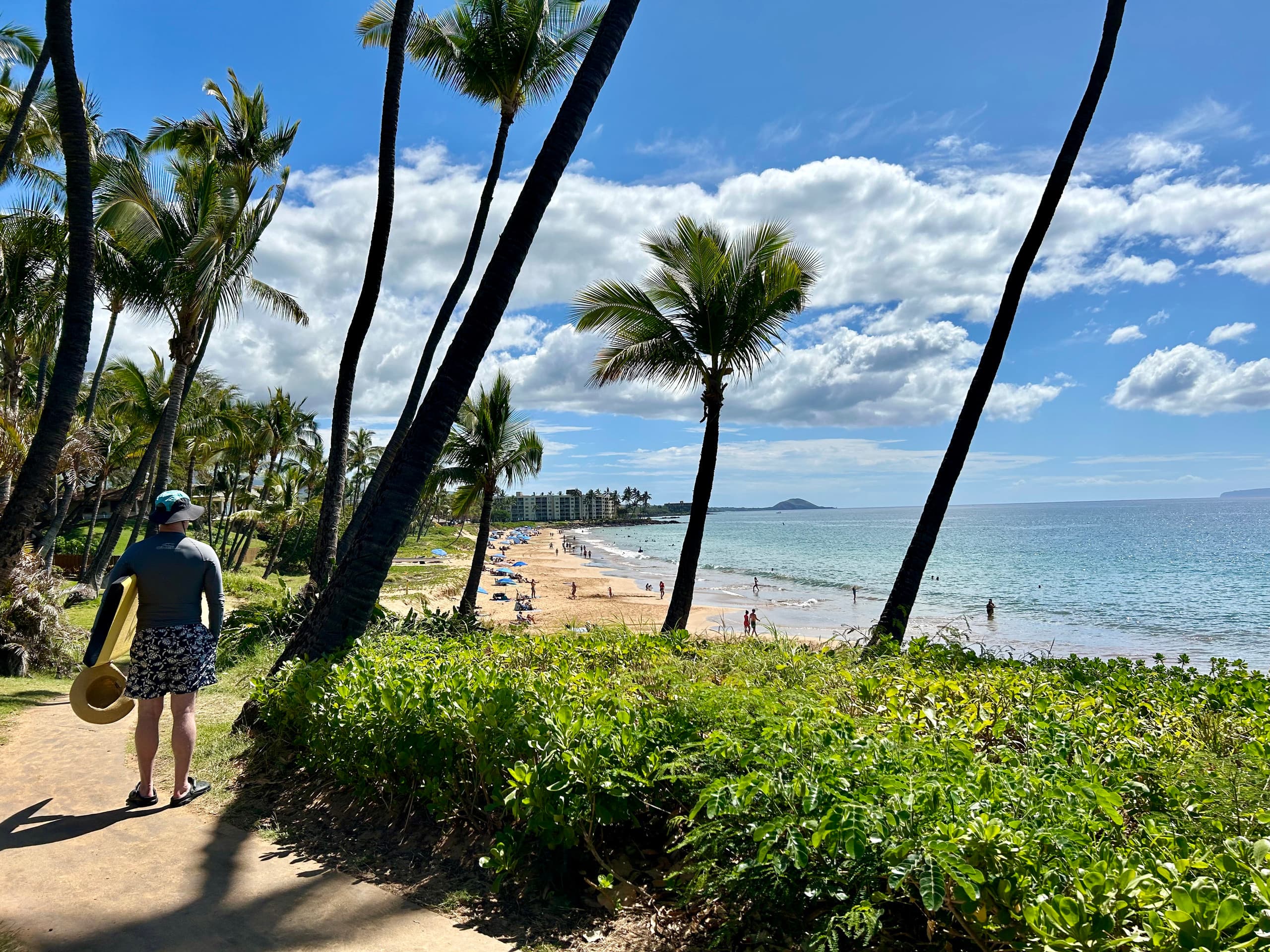 Condo in Kihei · ★5.0 · 2 bedrooms · 4 beds · 2 private baths - Image 47