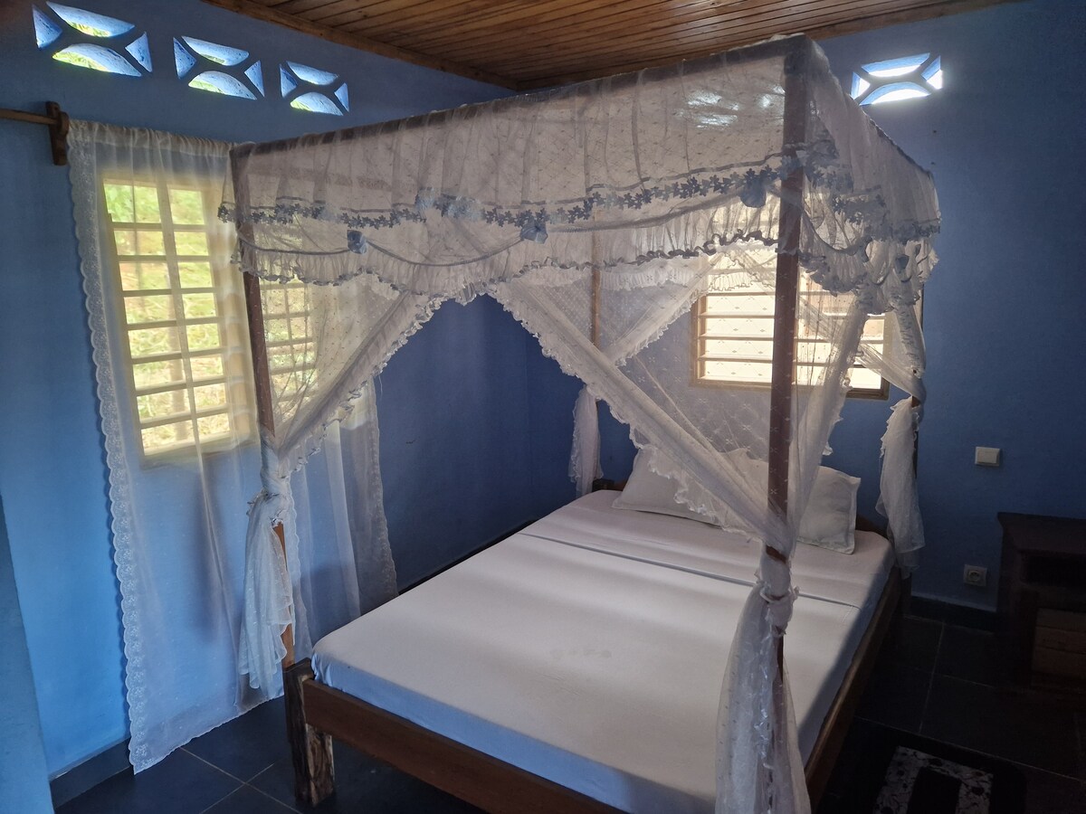 A serene sleeping area features a spacious bed draped in a delicate canopy. Soft natural light filters through the window, complementing the soothing blue walls and enhancing the tranquil ambiance of the room.