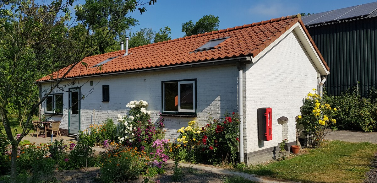 A white house with a red-tiled roof is surrounded by a vibrant flower garden, featuring a variety of colorful blooms. Large windows on the front side provide natural light, while a terrace is visible for outdoor relaxation.