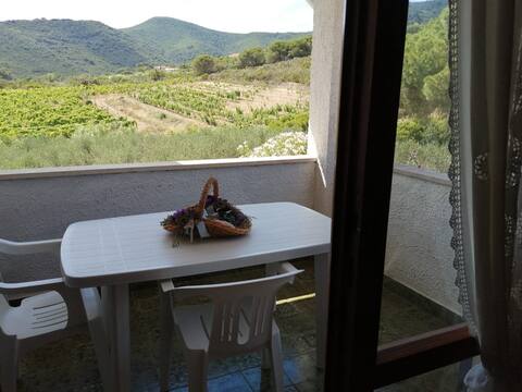 Apartment Lacona Isola d 'Elba Orchis