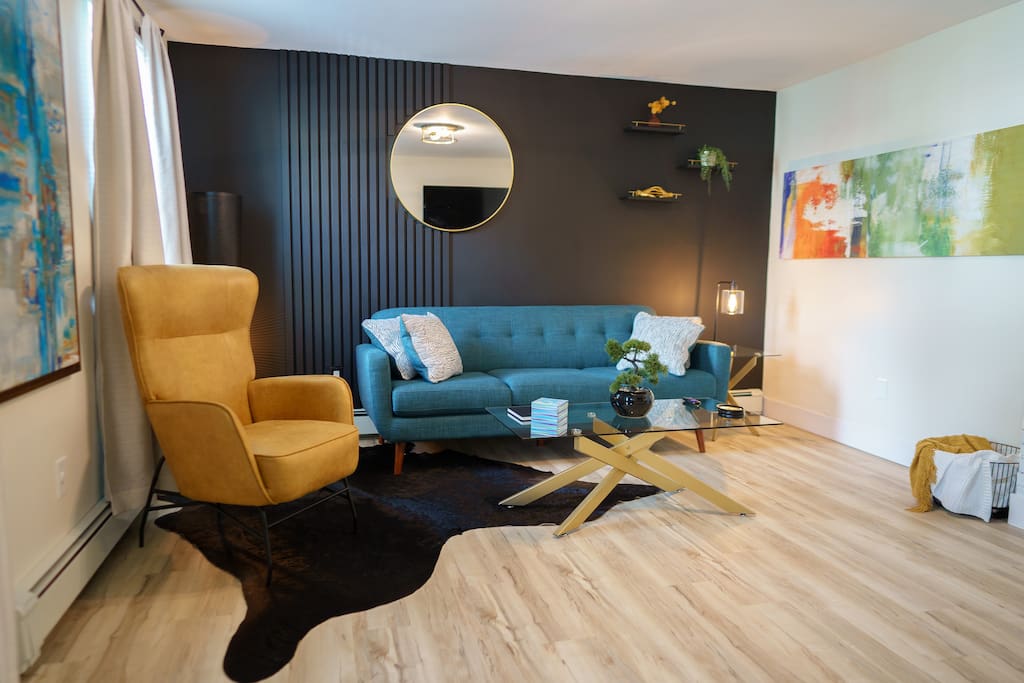 Airbnb Spacious, Clean, Modern Apt With Style.