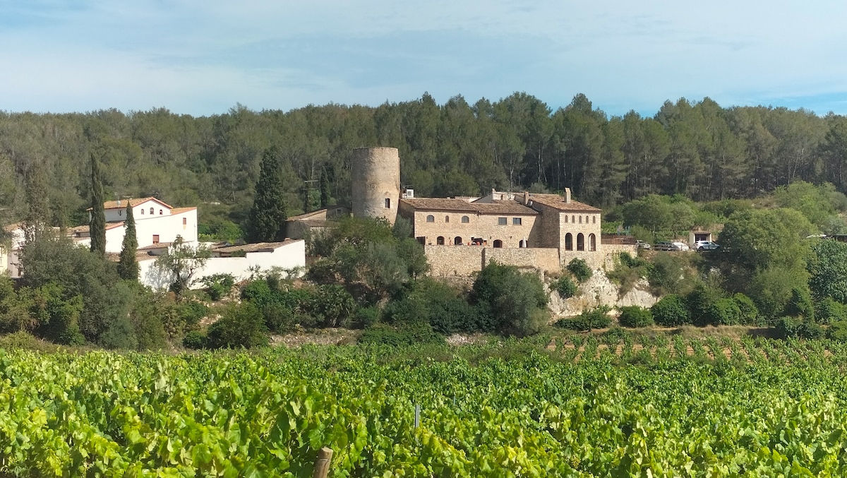A rustic building stands amidst lush green vineyards and trees, showcasing a historical tower. The structure, characterized by a natural stone facade, is complemented by surrounding gardens and paths that invite exploration of the serene countryside.