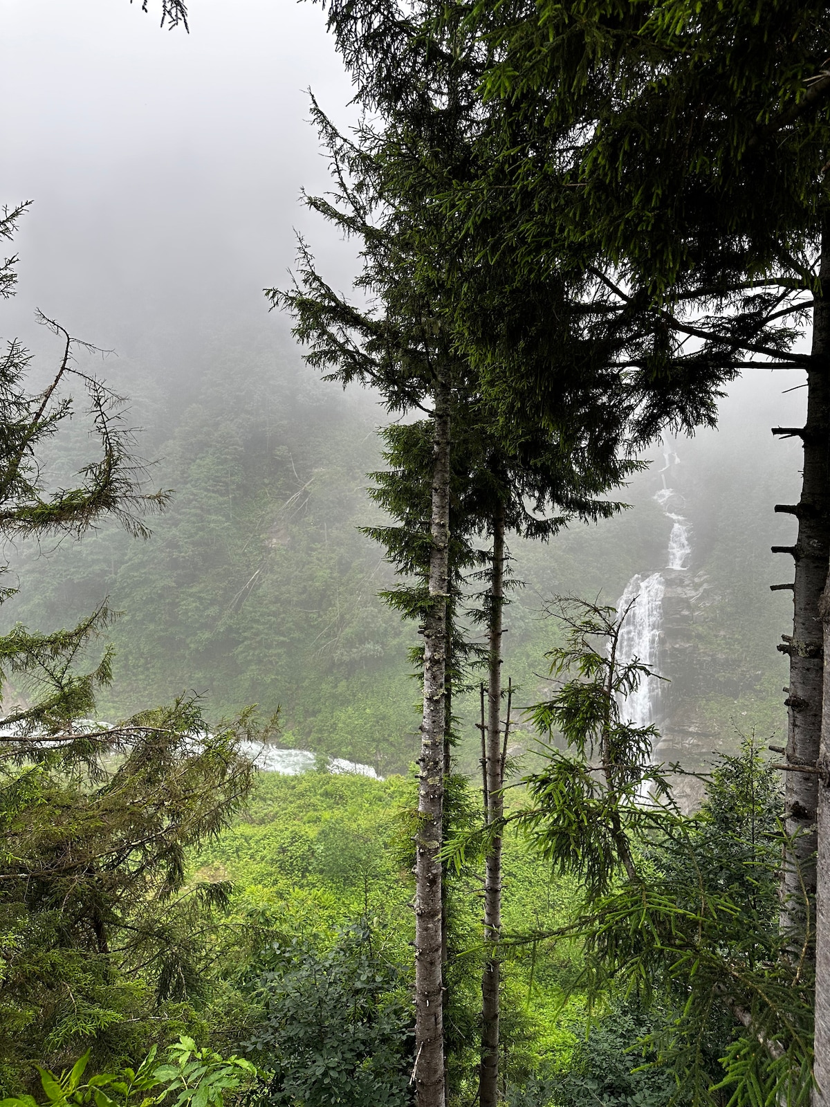 A serene natural landscape is presented, featuring tall trees framing a misty view of a cascading waterfall in the distance. Lush greenery surrounds the area, creating a tranquil environment that emphasizes the connection to nature.