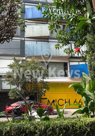 AMOR AMOR!@Condesa, Gym, Carril Nado,3B,2B, 6P gallery image 4