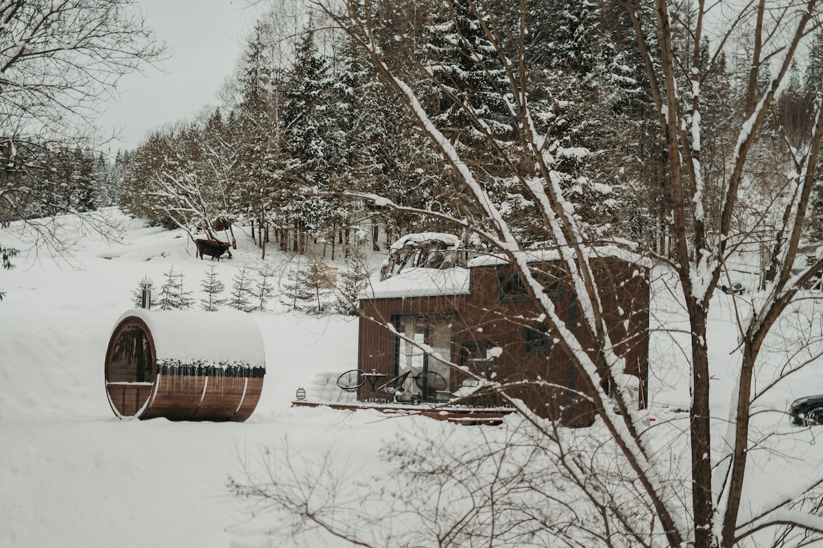 A modern wooden cottage is surrounded by snow-covered trees and ground, with a barrel-shaped sauna in the foreground. The structure features large windows, showcasing a blend of natural and contemporary design amidst a serene winter landscape.