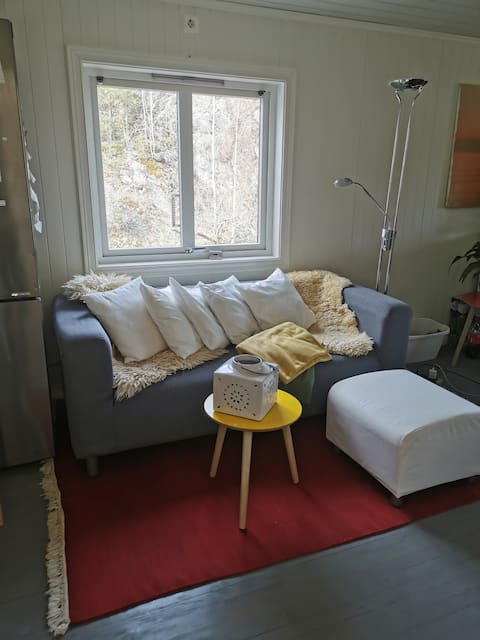 Popular Airbnb listing: Holiday home with private jetty and garden in Kragerø