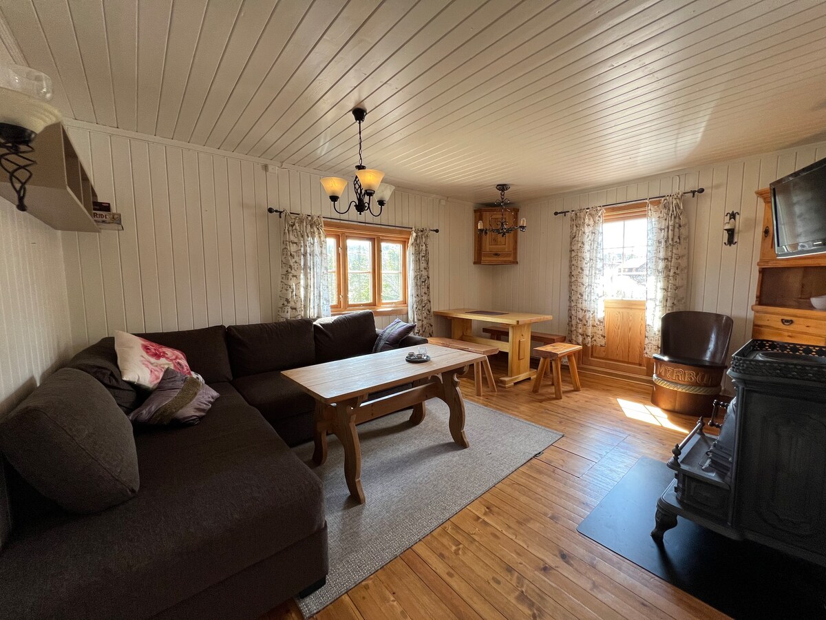 客厅配有电视、壁炉、沙发和餐桌