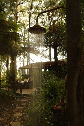 Forest Retreat gallery image 4