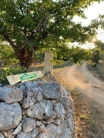 Oliveta – intera proprietà gallery image 4