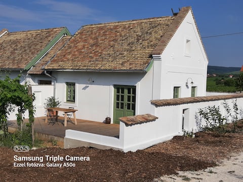 Top performing Airbnb: "Villa Vilka 2." in Balatonfüredi