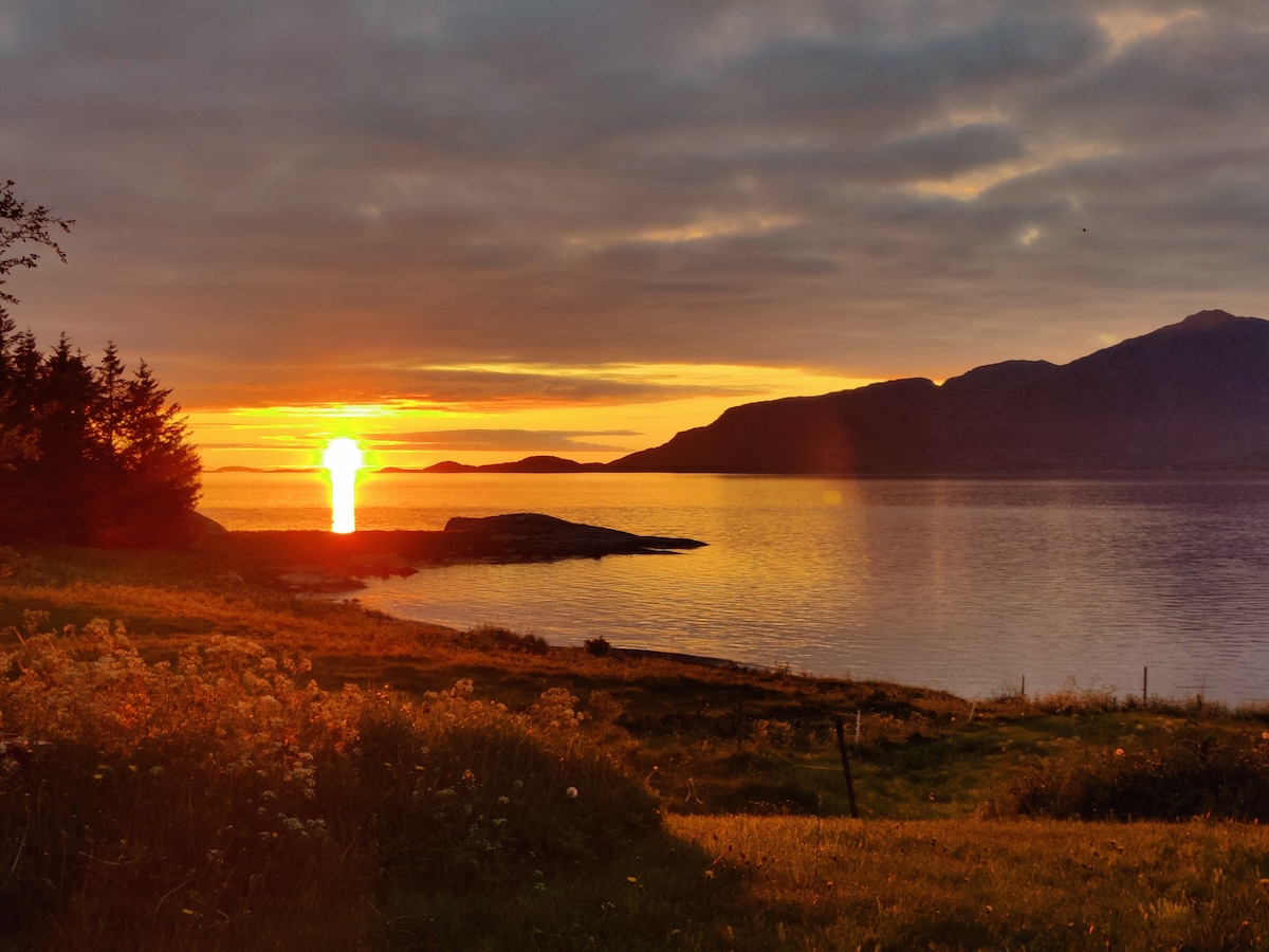 A tranquil sunset is captured over the water, with vibrant orange and yellow hues reflecting on the surface. The horizon is lined with distant mountains, while the foreground features lush greenery and wildflowers, creating an inviting natural landscape.