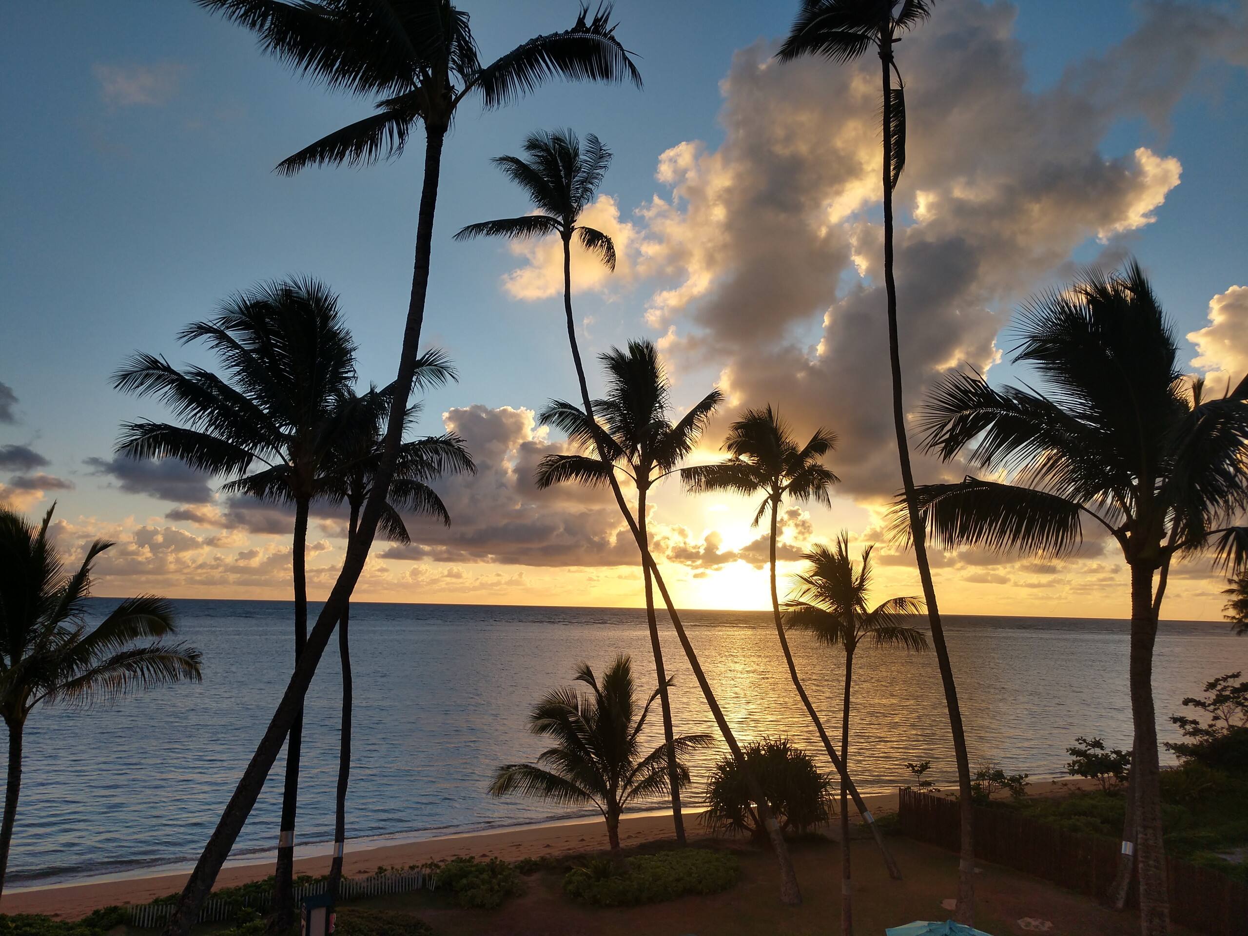 Condo in Hauula · ★4.85 · 1 bedroom · 2 beds · 1 private bath - Image 13
