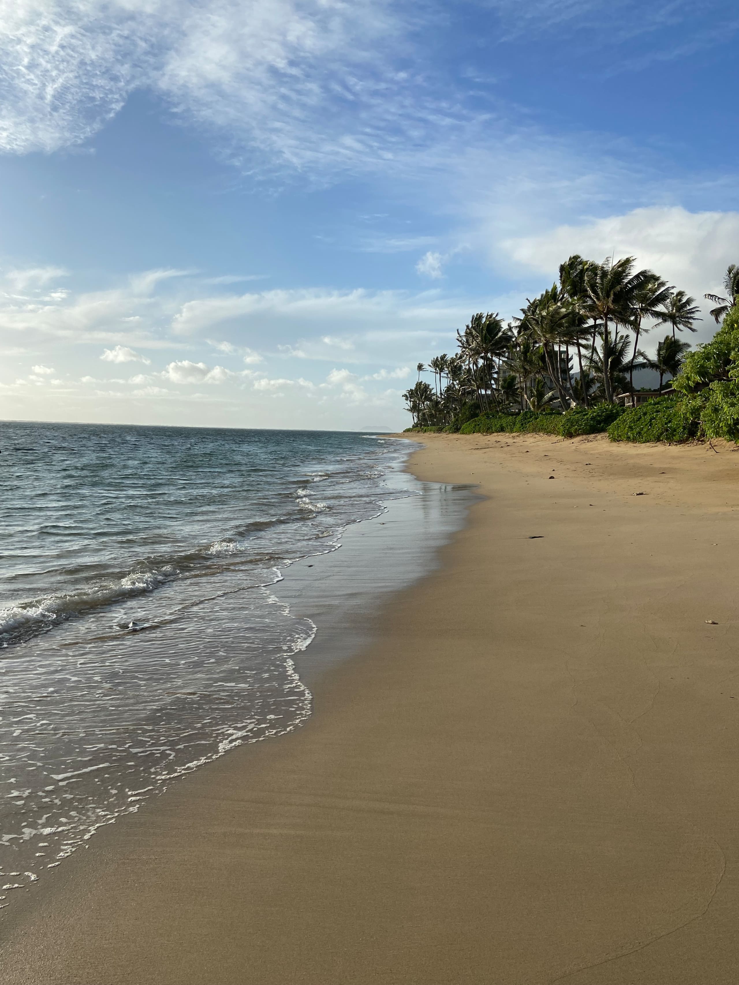 Condo in Hauula · ★4.85 · 1 bedroom · 2 beds · 1 private bath - Image 18