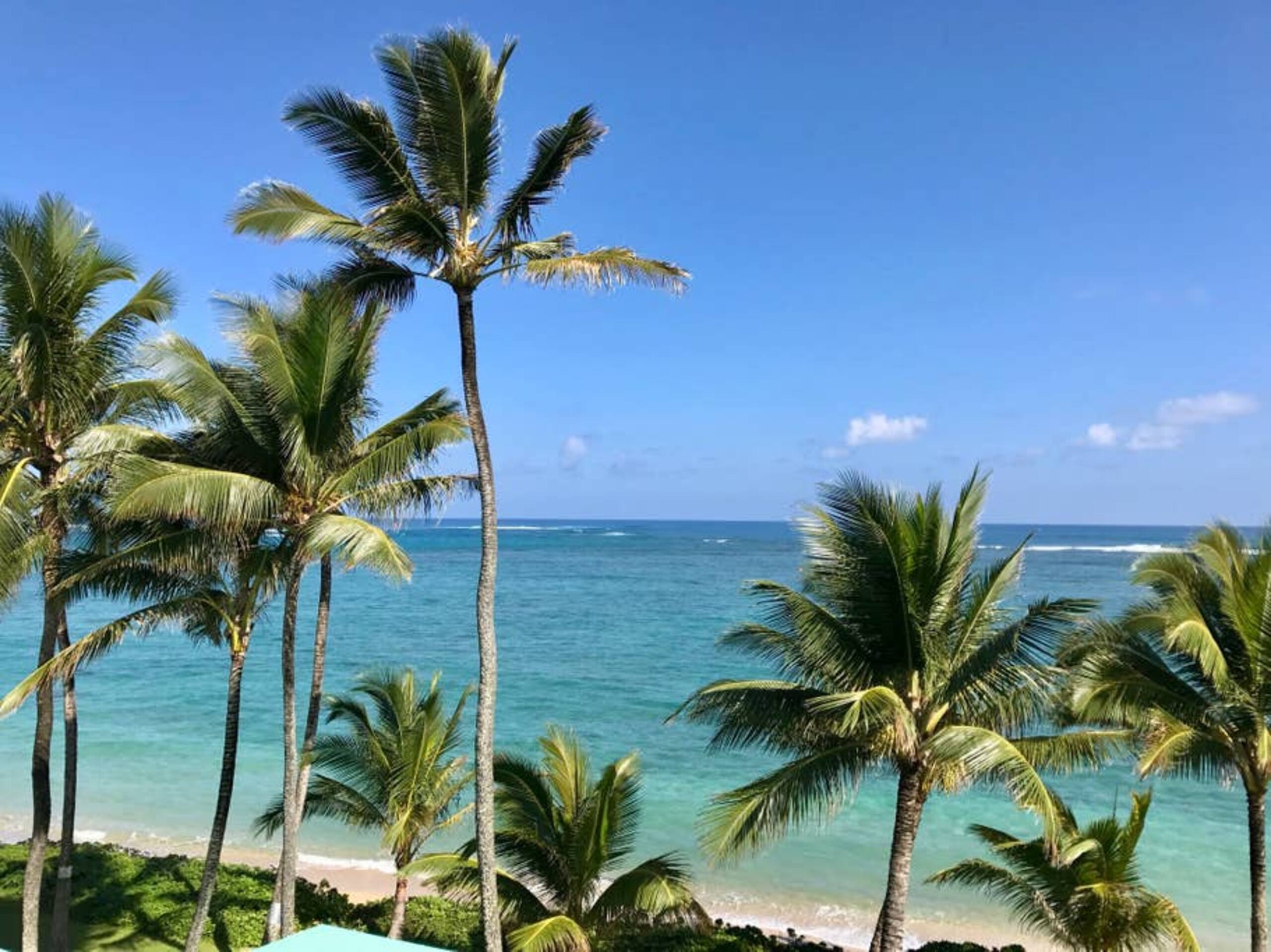 Condo in Hauula · ★4.85 · 1 bedroom · 2 beds · 1 private bath - Image 16