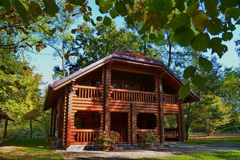 Luxury Chalet Retreat at Podlipje Estate