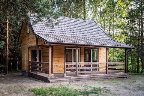 Zagajnik Białowieża 2