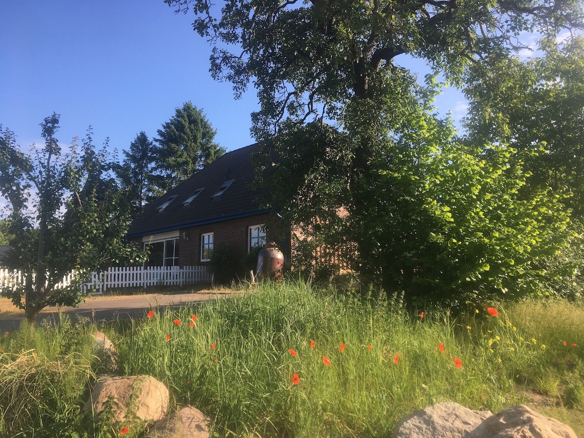 A charming house is surrounded by lush greenery and colorful wildflowers, including red poppies. A white picket fence outlines the property, enhancing the serene, rural setting. The clear blue sky complements the idyllic atmosphere, inviting a sense of calm and connection to nature.
