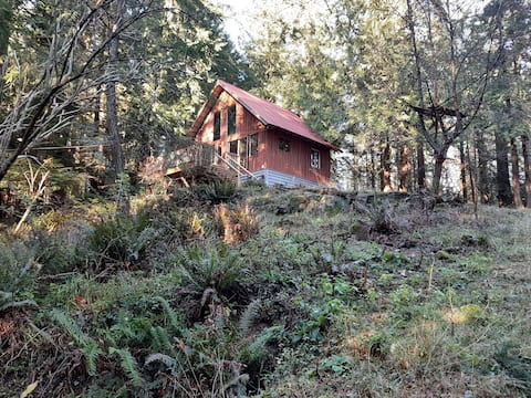 Cozy Rustic Cabin on a Hill