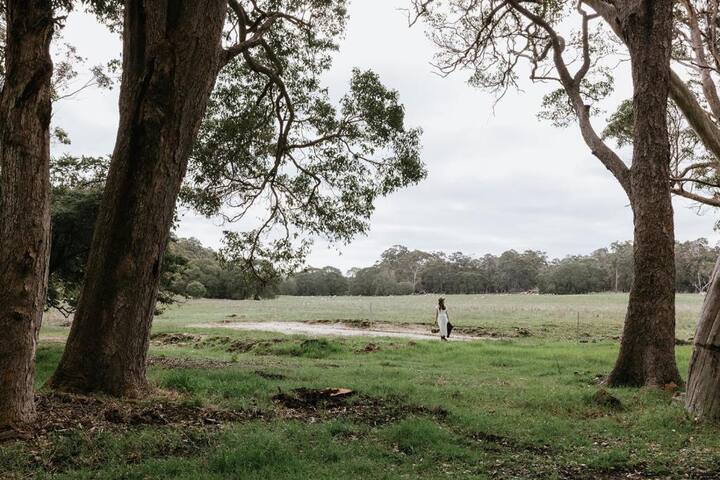 Chambré Estate Cabernet – spacious elegant luxury