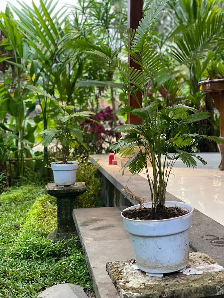 Kayana Ricefields House - Ubud