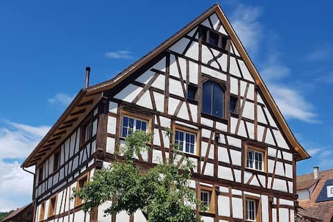 Top Airbnb: Nostalgic apartment in a noble house from 1706 in Bodman Ludwigshafen