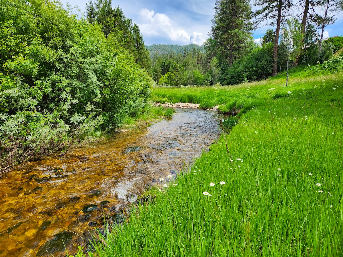 A serene creek flows through a lush green landscape, bordered by vibrant grass and shrubbery. Gentle ripples create a tranquil surface, while wildflowers add a touch of color along the water's edge. Towering trees provide a natural backdrop, enhancing the picturesque surroundings.
