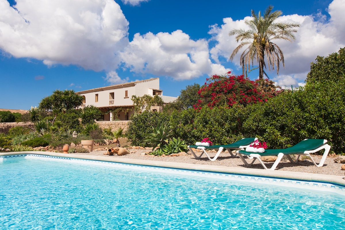 The image depicts a refreshing pool surrounded by vibrant green vegetation and flowering plants. Comfortable lounge chairs are positioned by the water's edge, with a backdrop of a charming property under a bright blue sky dotted with clouds.