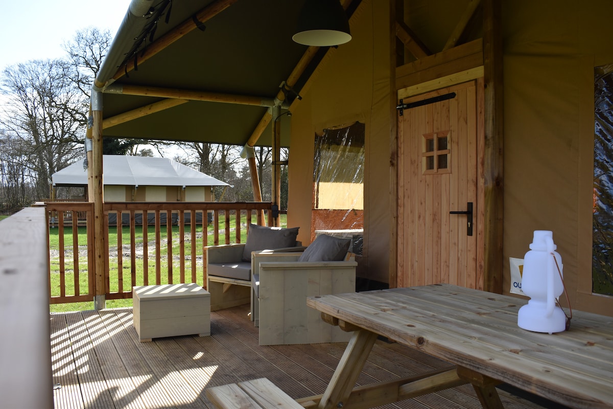 A covered wooden veranda is featured, furnished with a seating area that includes cozy armchairs and a coffee table. A picnic table is positioned prominently, providing ample space for outdoor dining. Some natural light filters in through the trees, enhancing the serene atmosphere.