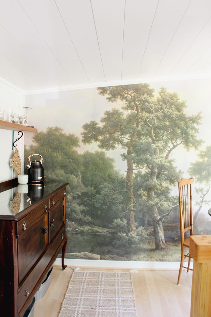 Pet Friendly/ Sauna/ Maple Forest/ 15 Min To Town - Minnesota