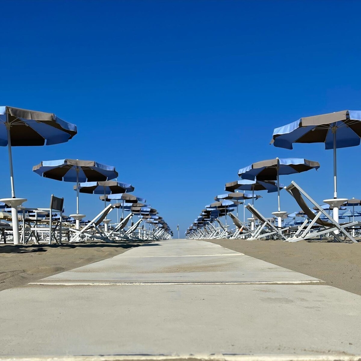 A wide pathway leads through a row of sun loungers, each paired with a parasol providing shade. The sand stretches to the horizon against a clear blue sky, creating a serene atmosphere for beachgoers.