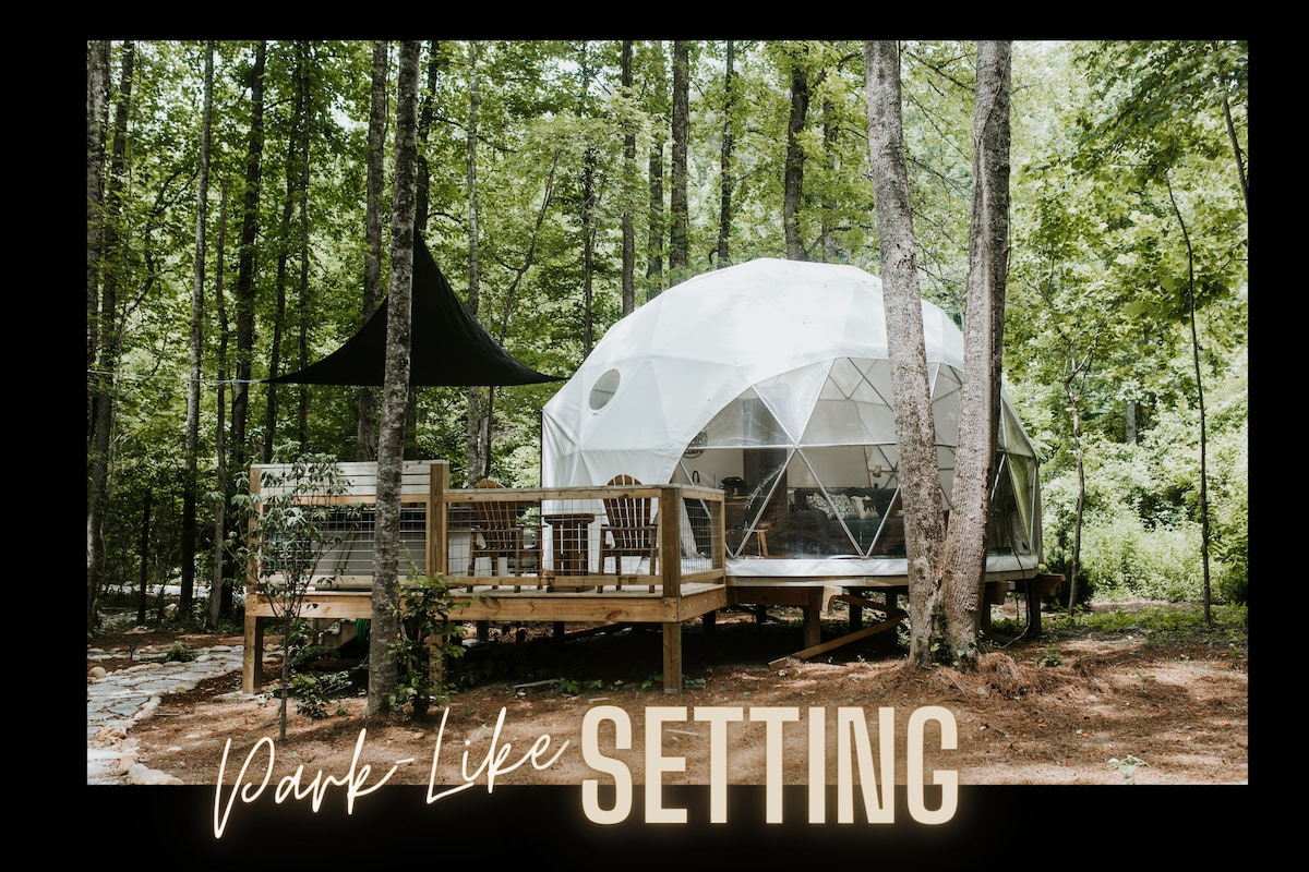 A geodesic dome is positioned amidst tall trees, featuring a spacious deck with outdoor seating that invites relaxation. The natural surroundings create a peaceful ambiance, highlighted by a canopy structure adjacent to the dome, enhancing the outdoor experience.