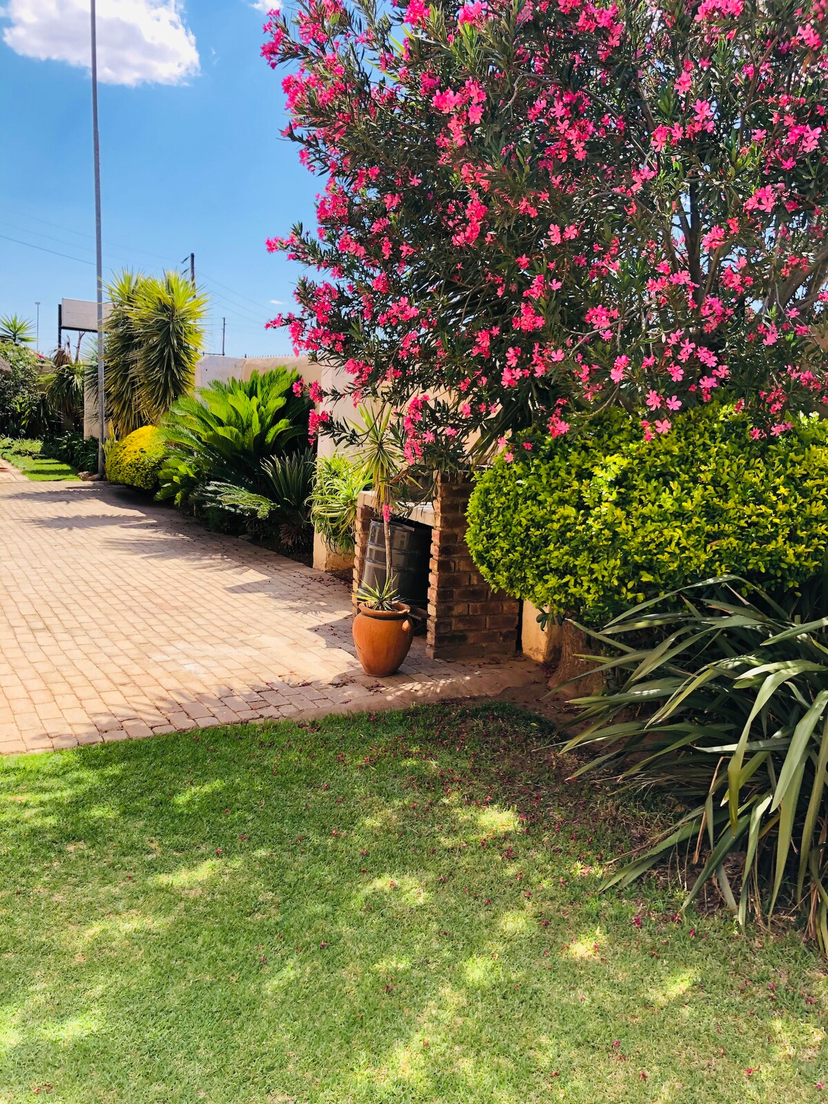 The outdoor area is highlighted by vibrant flowering shrubs and well-maintained greenery. A paved pathway leads through the lush garden, bordered by ornamental plants and trees, creating a serene and inviting atmosphere.