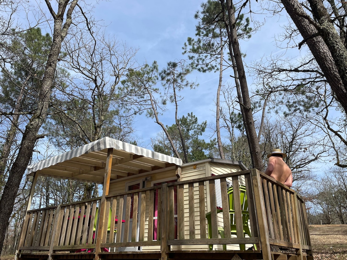 A semi-covered terrace extends from the mini mobil-home, surrounded by tall trees. Colorful outdoor chairs are positioned around a wooden table, creating a cozy outdoor space. The clear sky provides natural light, enhancing the atmosphere of the forest setting.