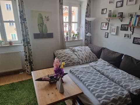 Top Airbnb: Apartment in the most beautiful district in Regensburg