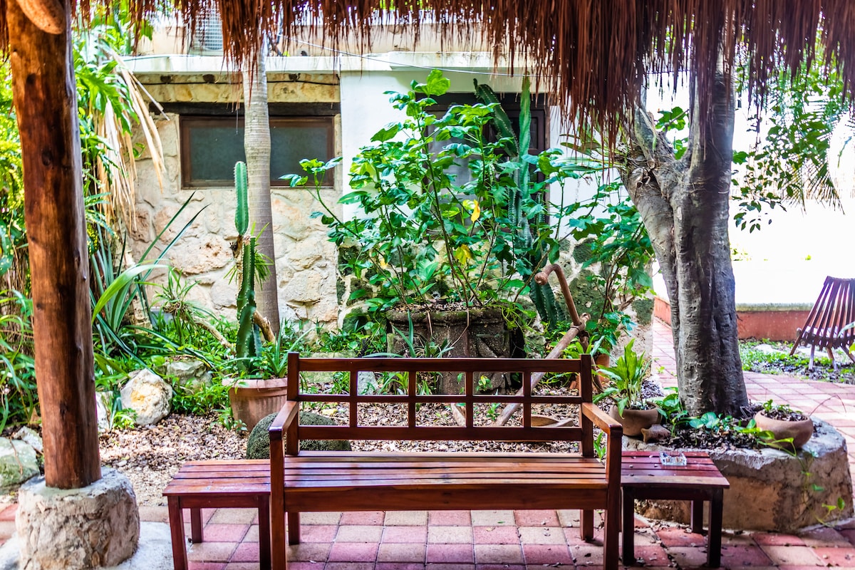 A wooden bench is positioned in a lush garden area, surrounded by various plants and cacti. Natural shade is provided by a thatched roof overhead, creating a relaxing environment. The path is paved with colorful tiles, leading to a tranquil outdoor setting.