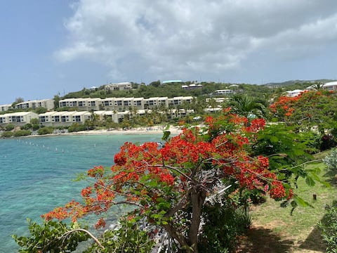 USVI St Thomas /Cowpet Bay East