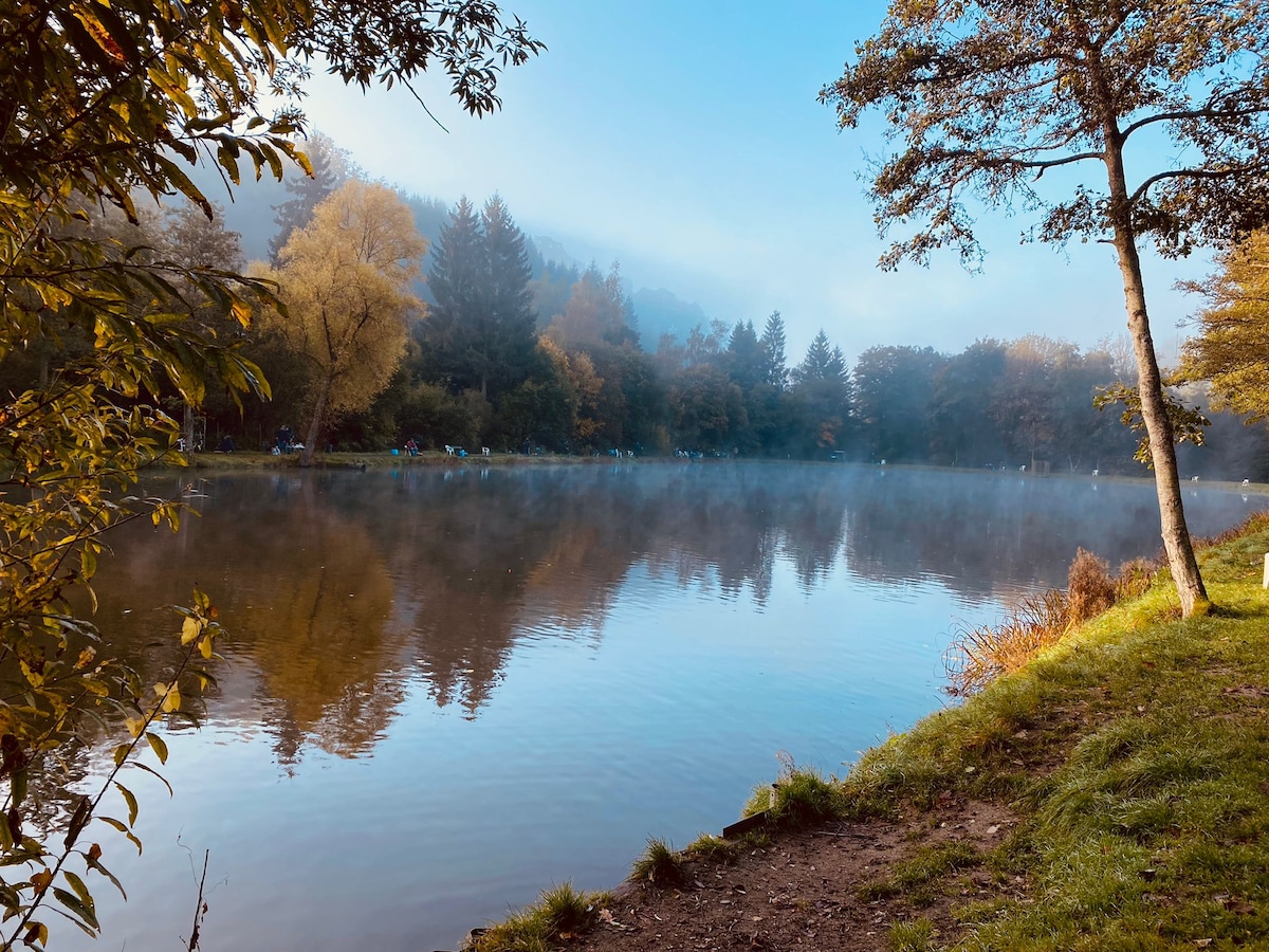 A serene lake is surrounded by lush trees and autumn foliage, reflecting a misty morning sky. The calm water enhances the tranquil atmosphere, while a gentle shoreline of grass and soil leads toward the water's edge.