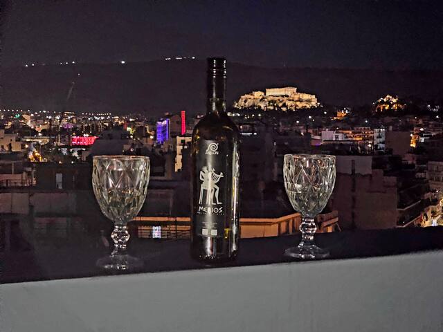 Maisonette with roof garden and unique view