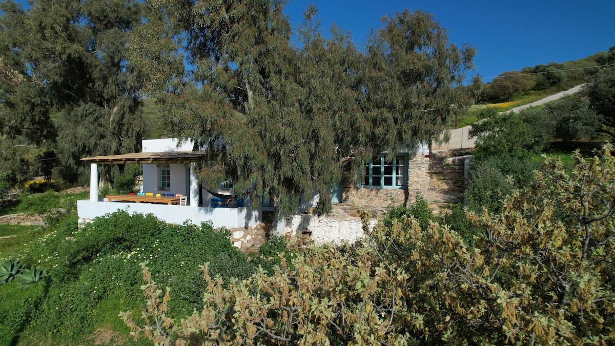 A traditional farmhouse with a stone exterior is shaded by lush, green trees. The building features large windows and a terrace with outdoor seating. The surrounding garden is filled with greenery, creating a peaceful and natural environment.