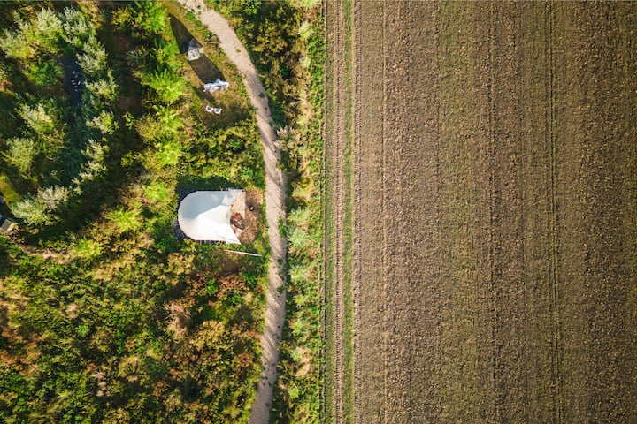 Back to Nature - tent - Tents for Rent in Oudenhoorn, Zuid-Holland,  Netherlands - Airbnb