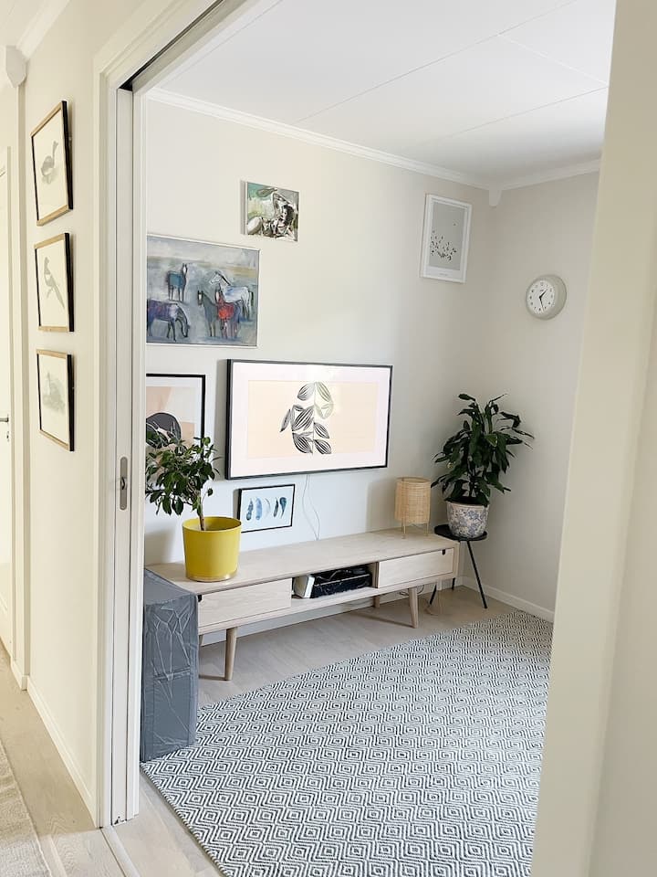 TV soba sa sofom i prostorom za dvostruki madrac od 180 cm na podu ako vas ima više.