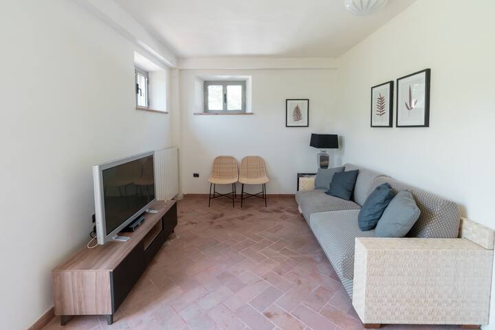 غرفة التلفزيون. بيت الضيف متاح هنا لشخص واحد.