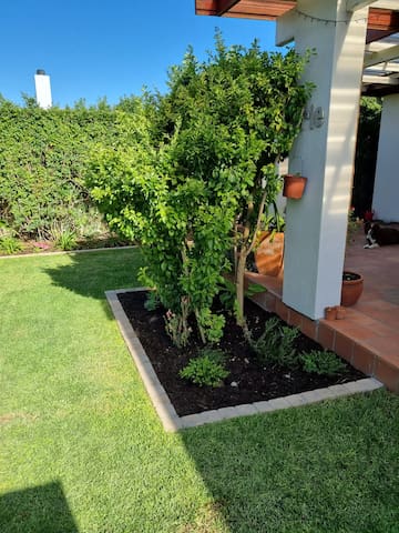 West Coast Cottage gallery image 2