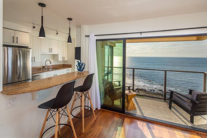 NEW! Oceanfront La Jolla Village View gallery image 5