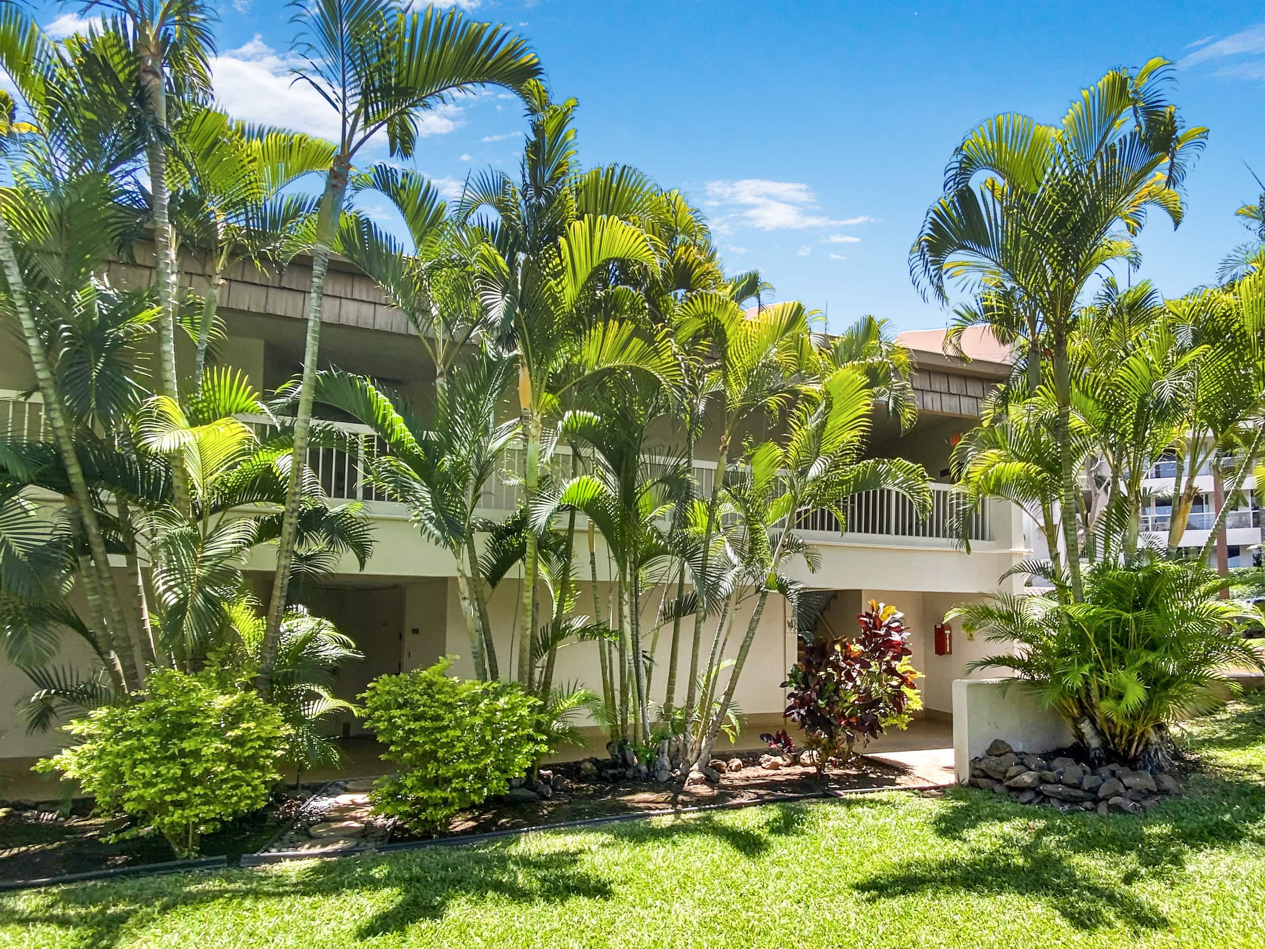 Condo in Kihei · ★4.98 · 1 bedroom · 2 beds · 1 bath - Image 23