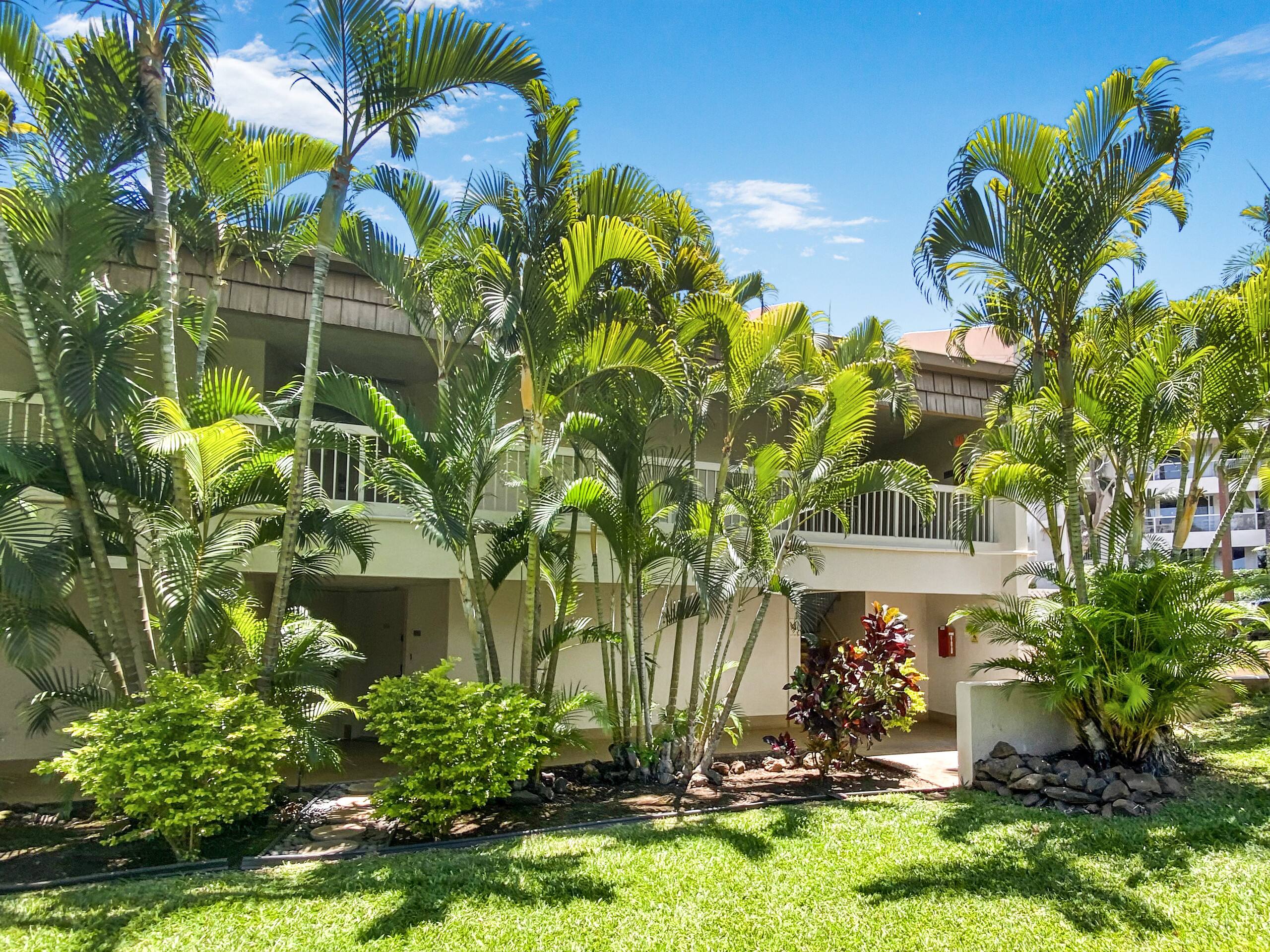 Condo in Kihei · ★4.93 · Studio · 1 bed · 1 private bath - Image 18