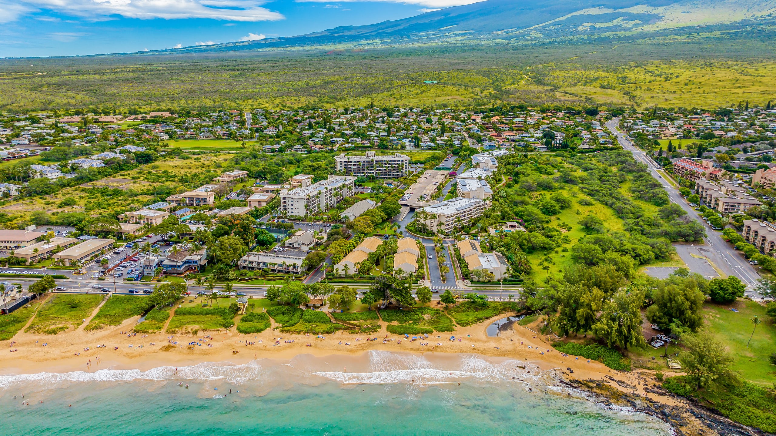 Condo in Kihei · ★4.93 · Studio · 1 bed · 1 private bath - Image 31