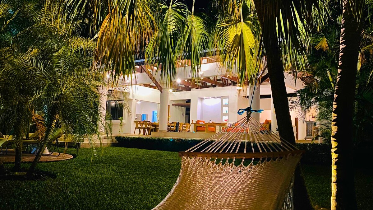 The outdoor area features a spacious patio illuminated at night, surrounded by lush tropical plants. A hammock hangs gently between palm trees, offering a serene spot to relax. The large dining table for 12 and an outdoor living space are visible, enhancing the inviting ambiance.