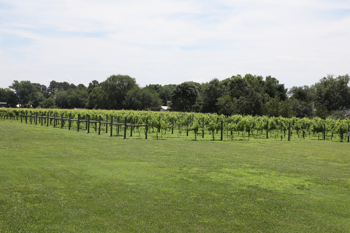 Image Gallery | Events in Sonoma County | Montage Healdsburg, image size:1200x800